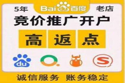 案例解析：SEM托管助力电商销售增长